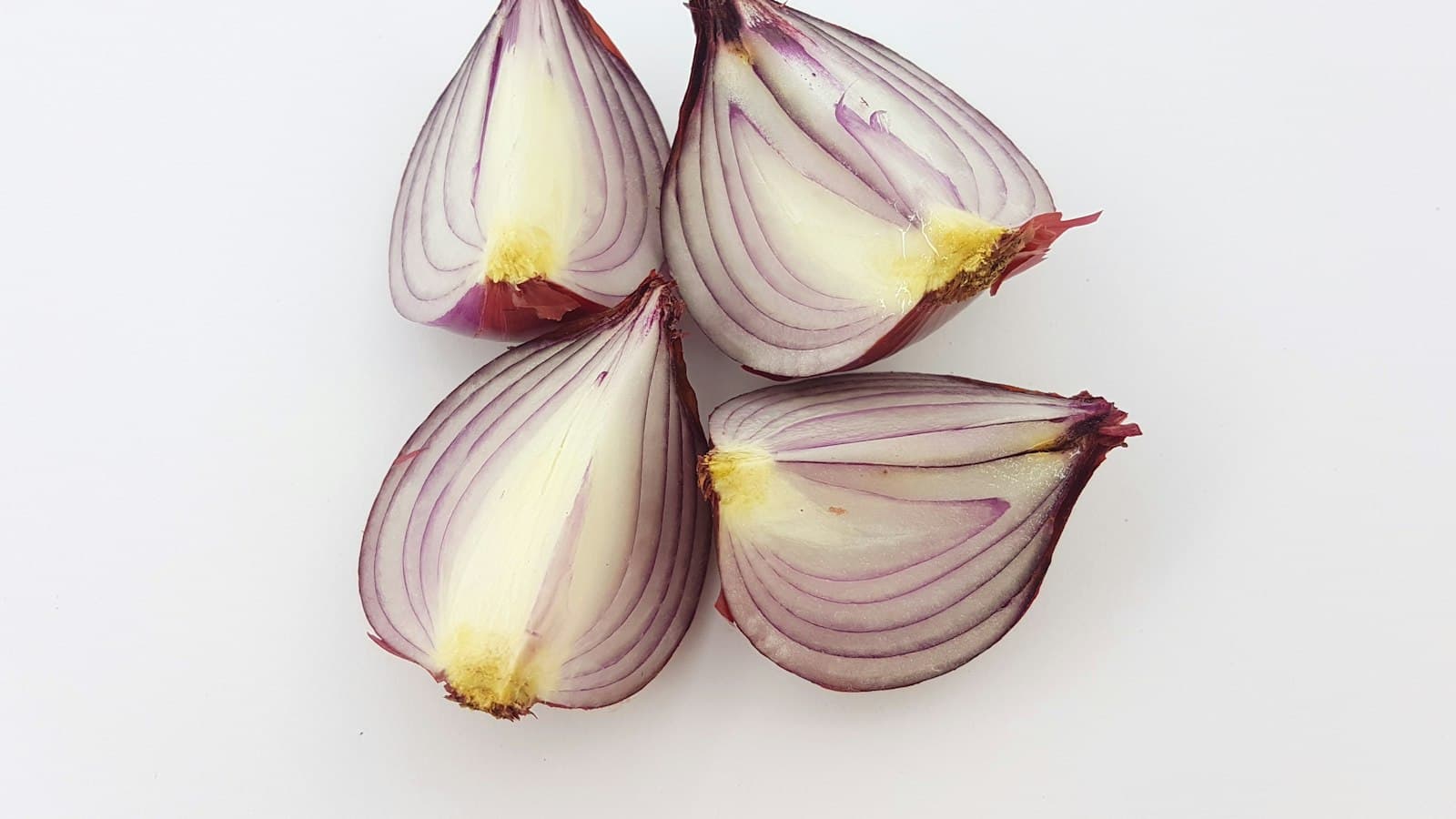 Dehydrated Onion Grades Explained: Flakes, Chopped, Minced, Granules and Powder