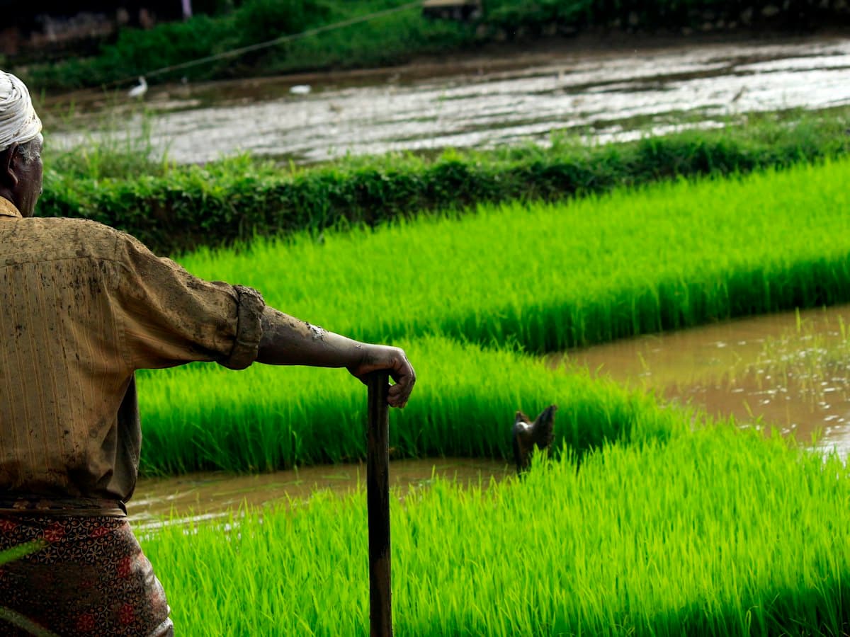 Sourcing directly from growers