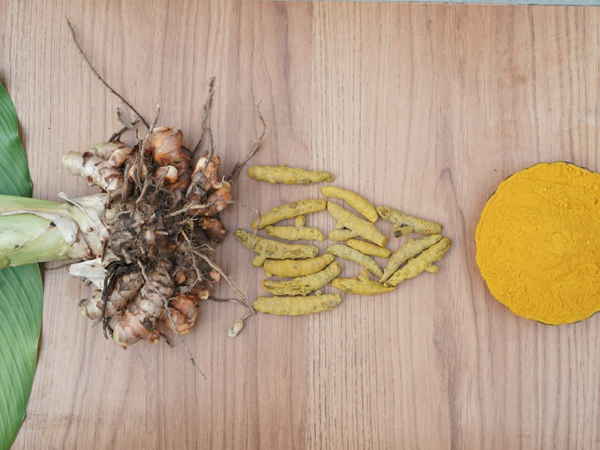 Turmeric — fresh, dried and powder