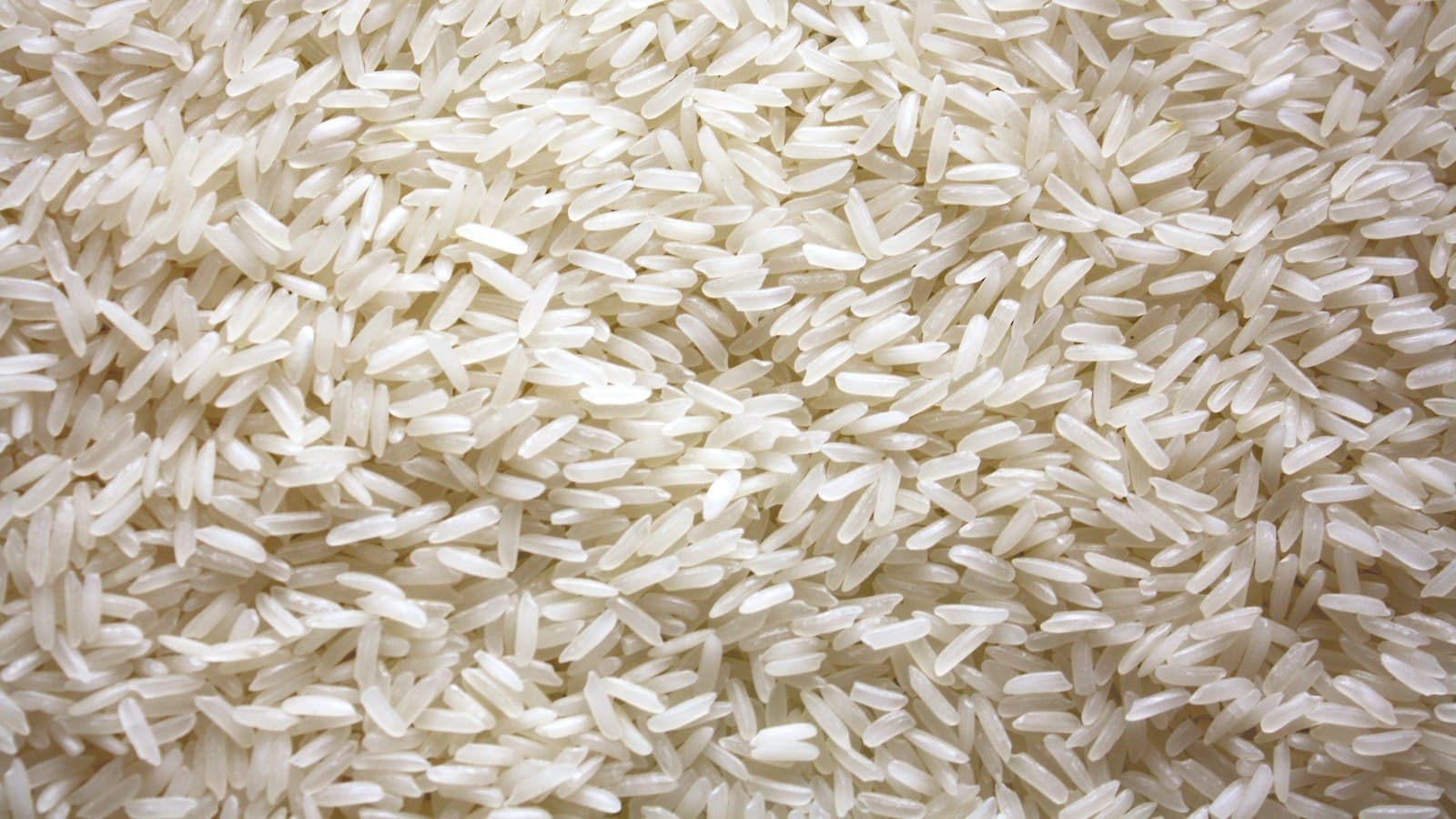 Basmati vs Non-Basmati Rice: Which Is Right for Your Business?